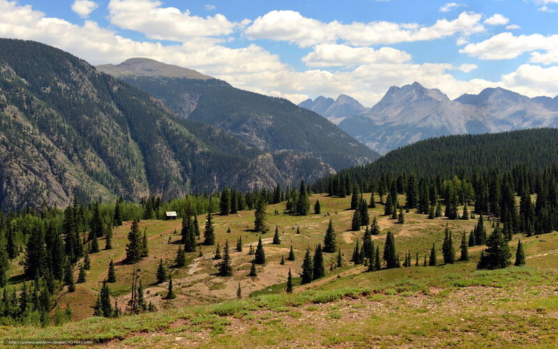 Mountain valley with forest and cabin
