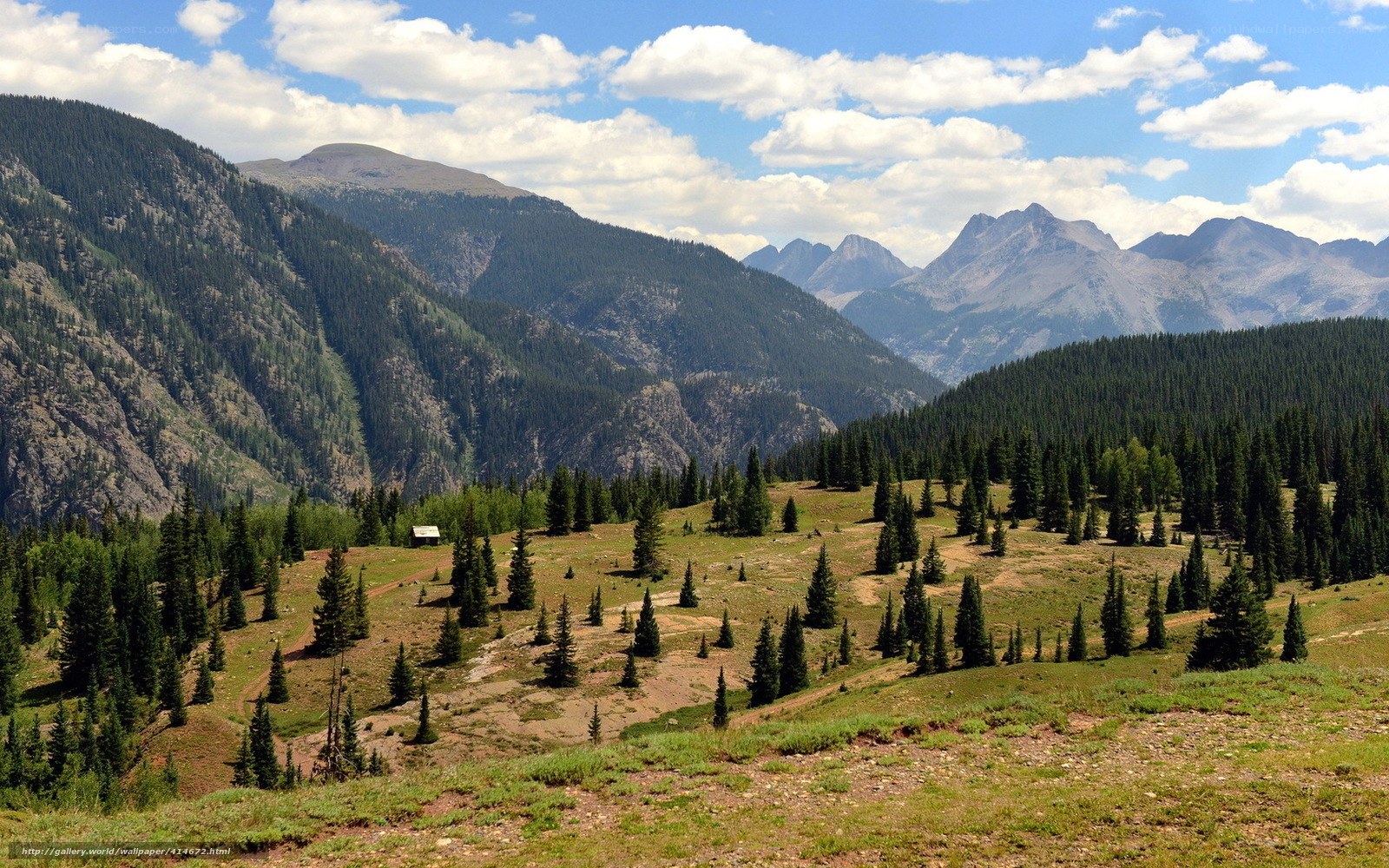 Mountain valley with forest and cabin