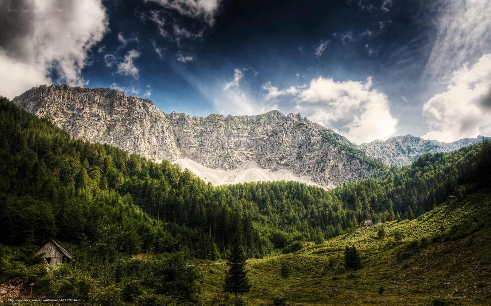 Mountain valley with forest and cabin