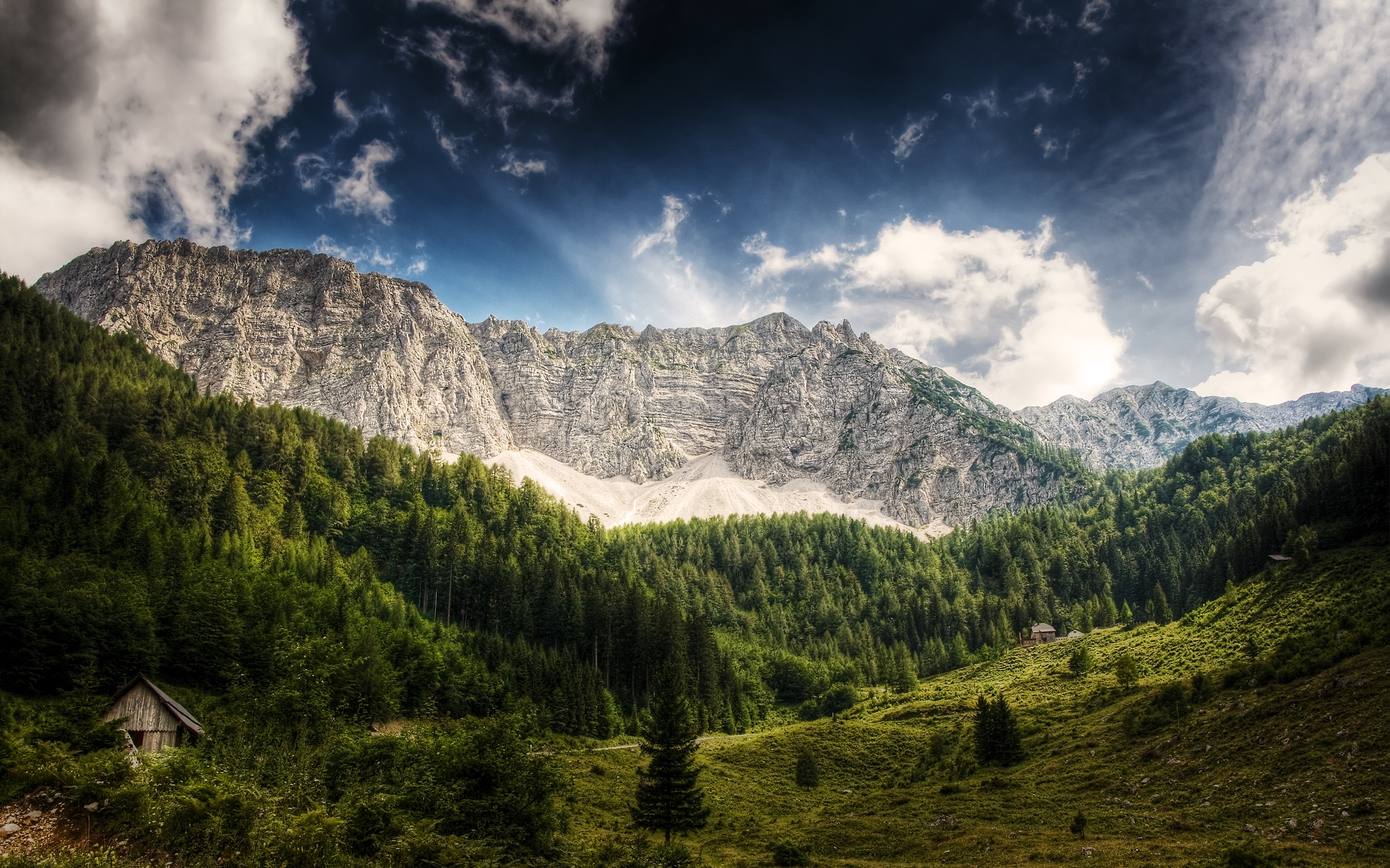Mountain valley with forest and cabin