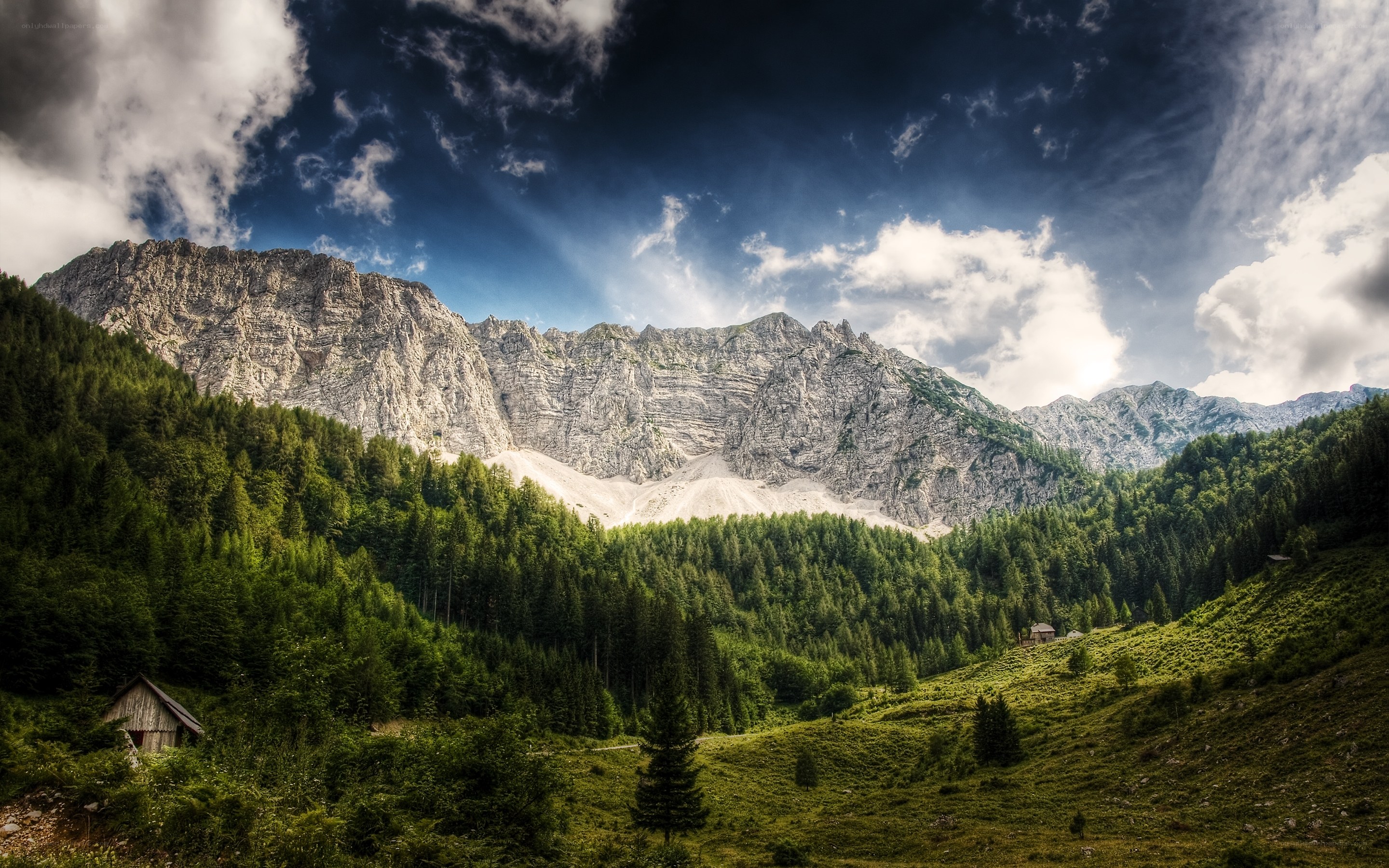 Mountain valley with forest and cabin