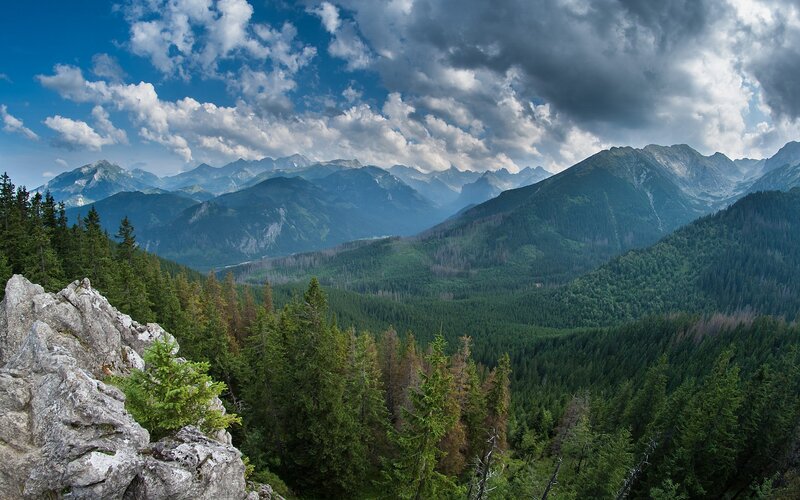 Mountain valley with forest and clouds