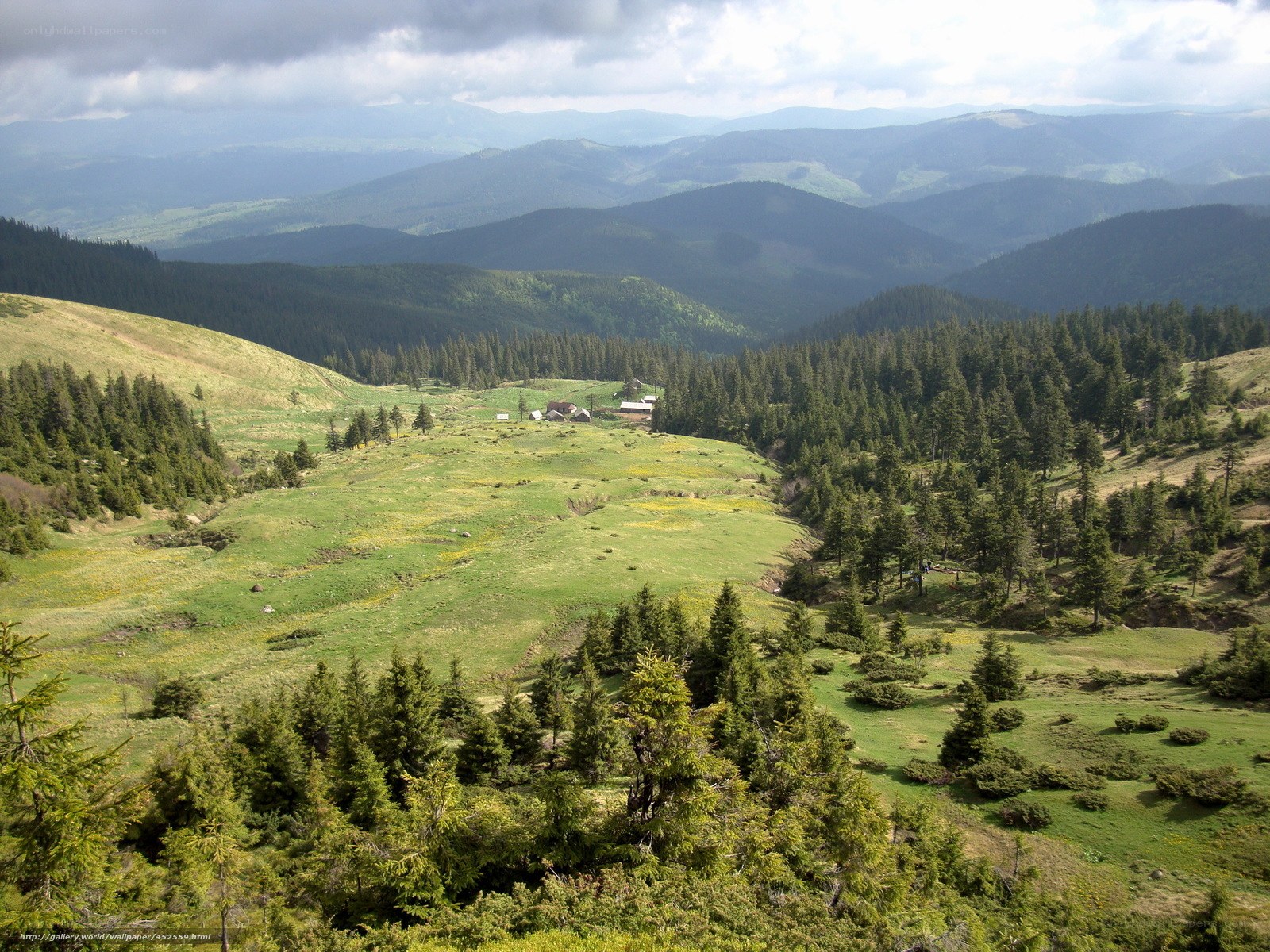 Mountain valley with forest and houses