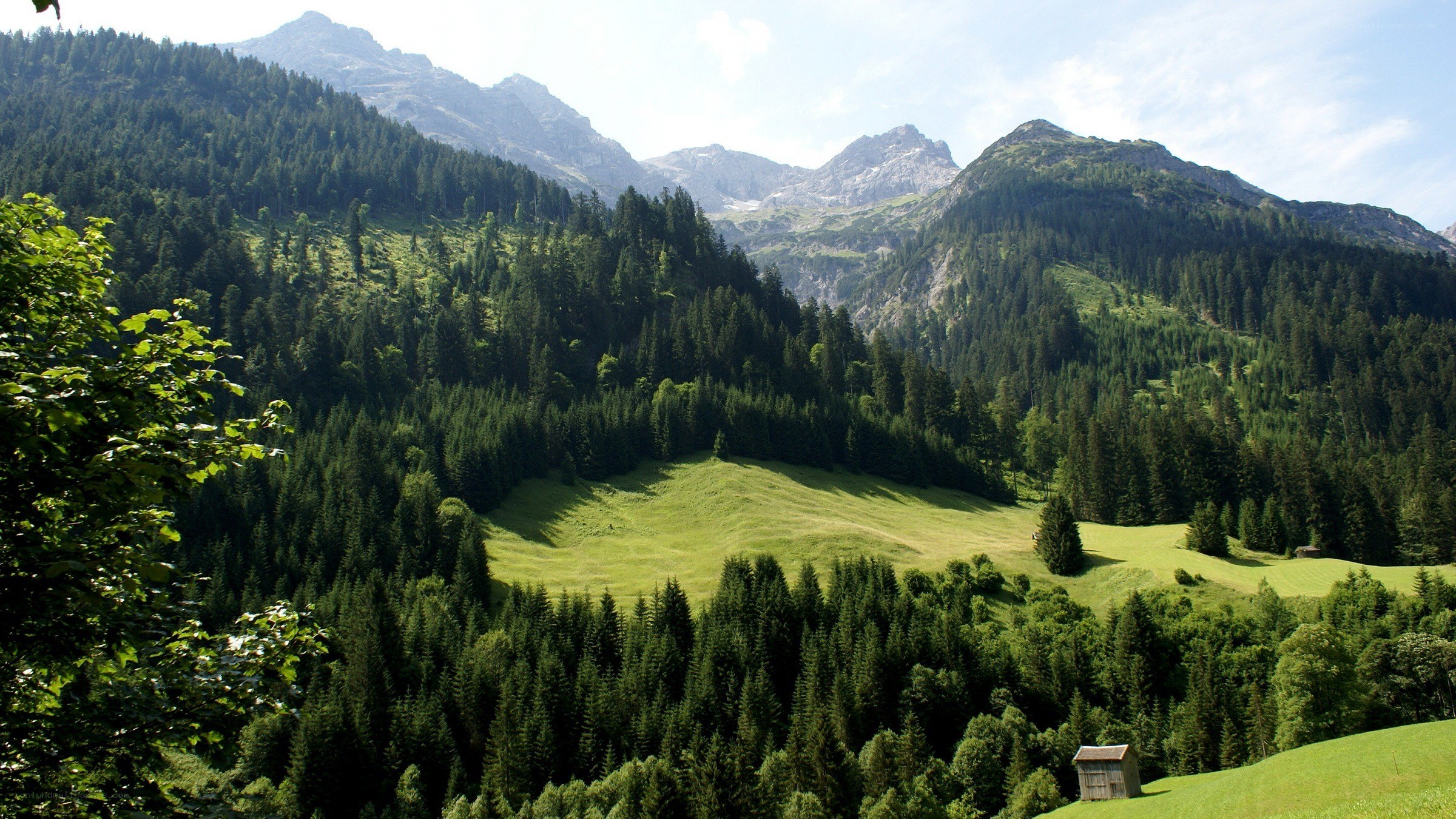 Mountain valley with forest and hut
