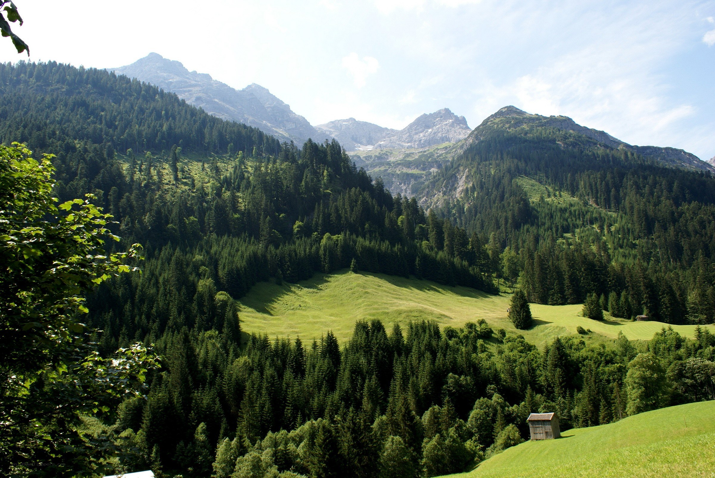 Mountain valley with forest and hut