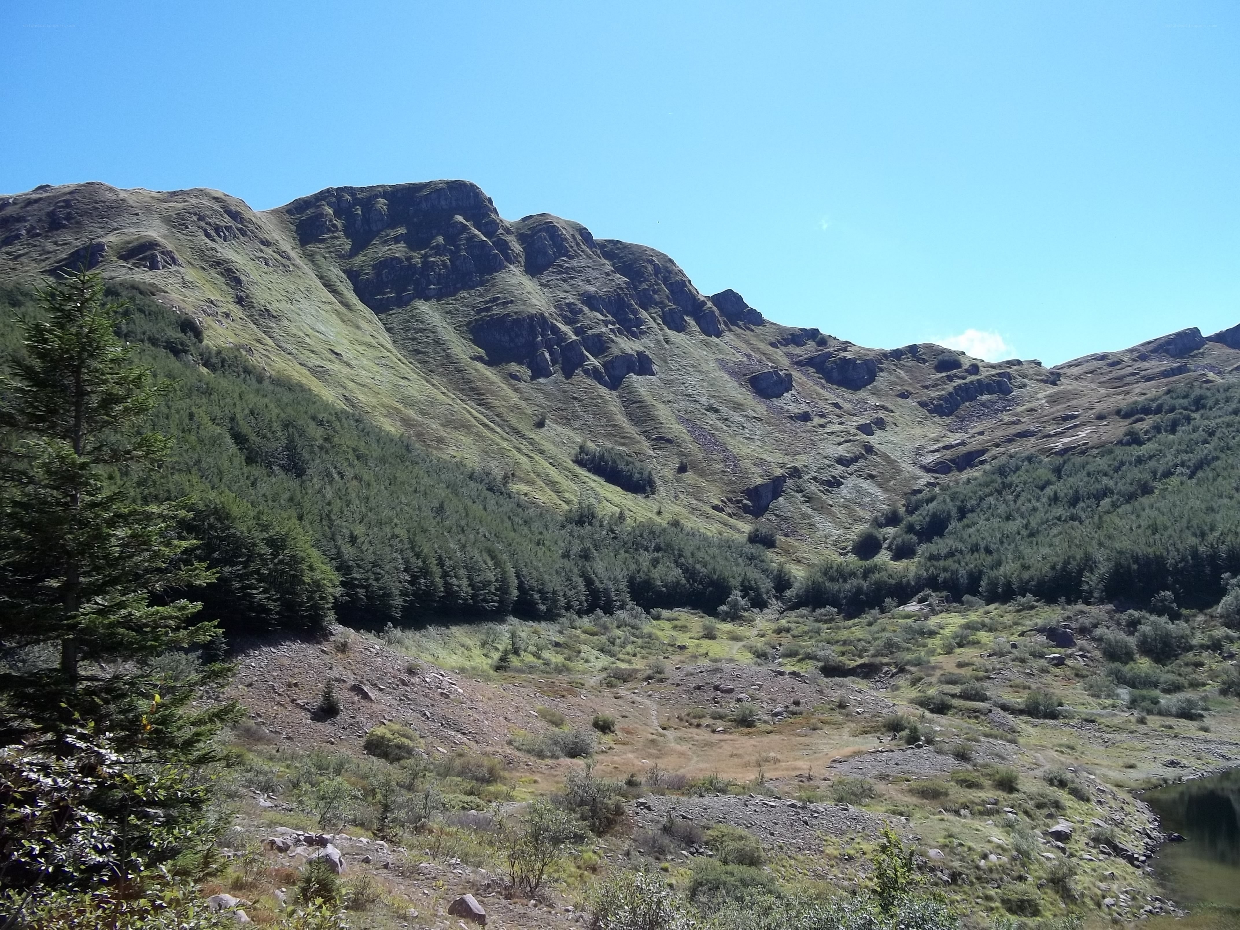 Mountain valley with forest and lake