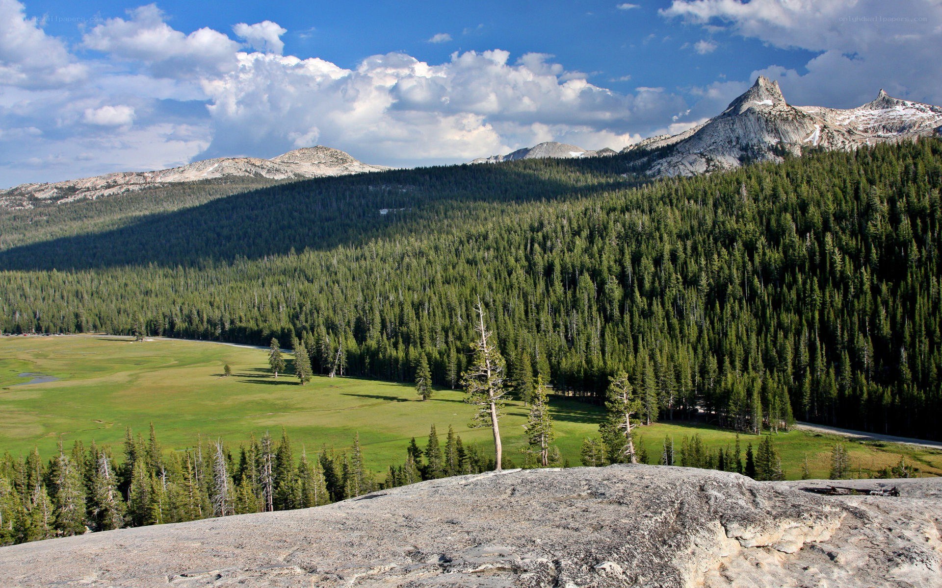 Mountain valley with forest and meadow