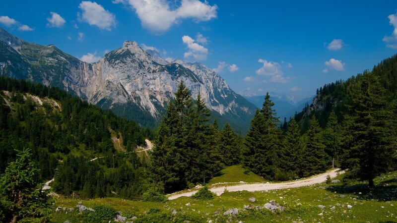 Mountain valley with forest and path