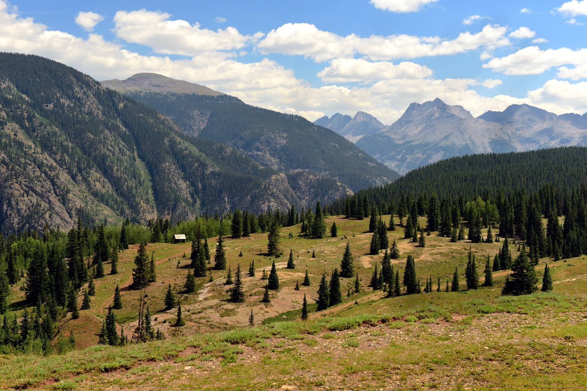 Mountain valley with forest and peaks