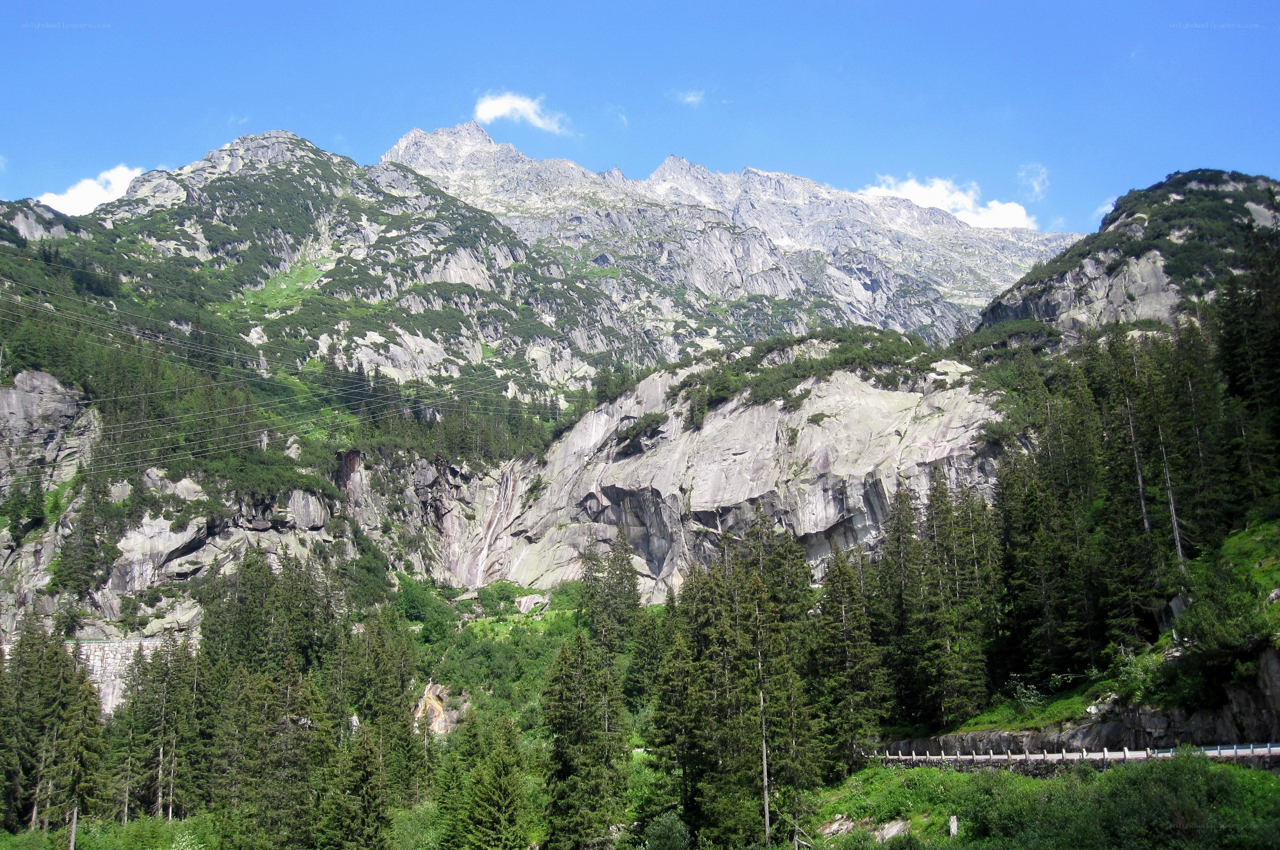 Mountain valley with forest and peaks