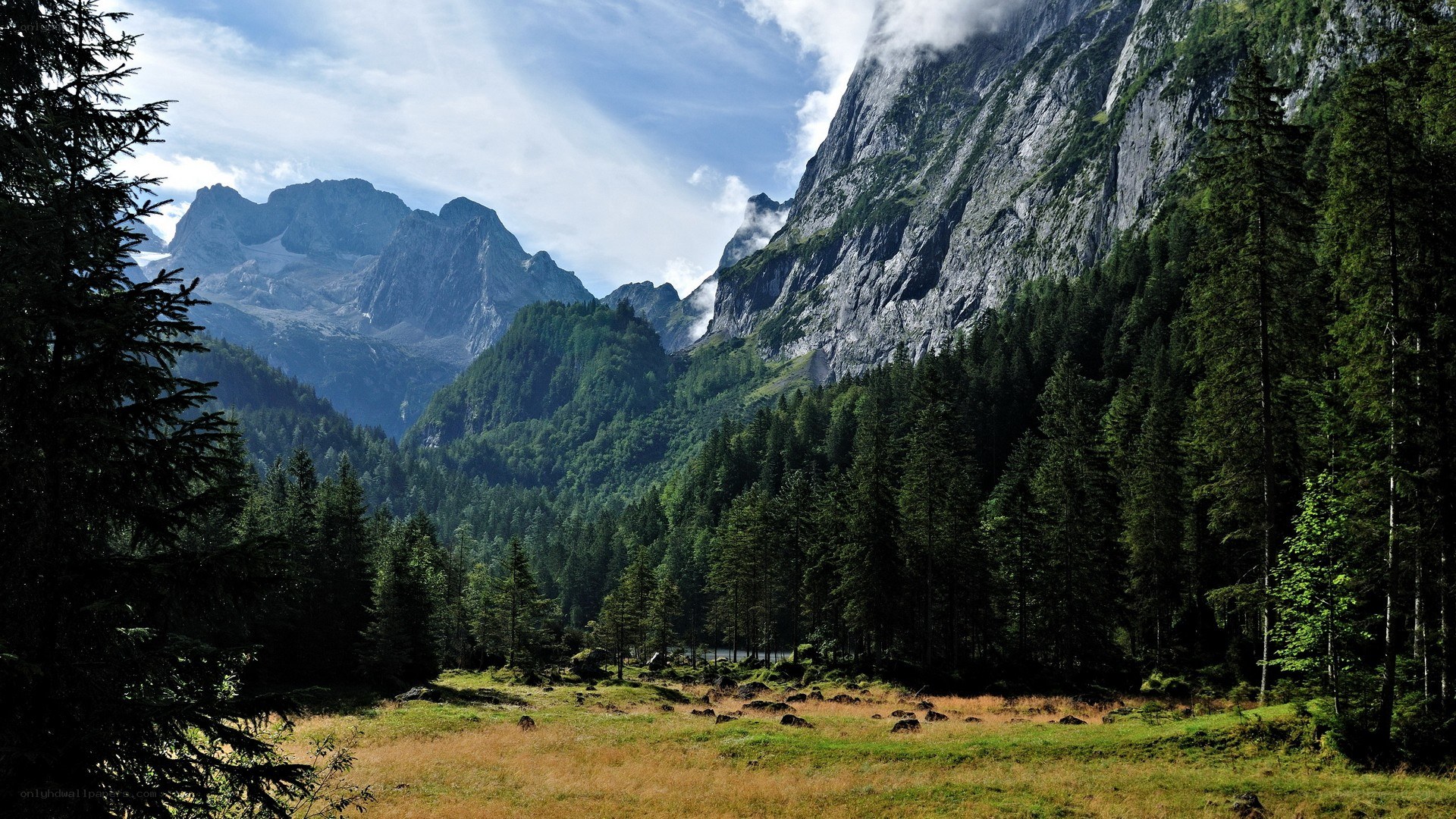 Mountain valley with forest and peaks