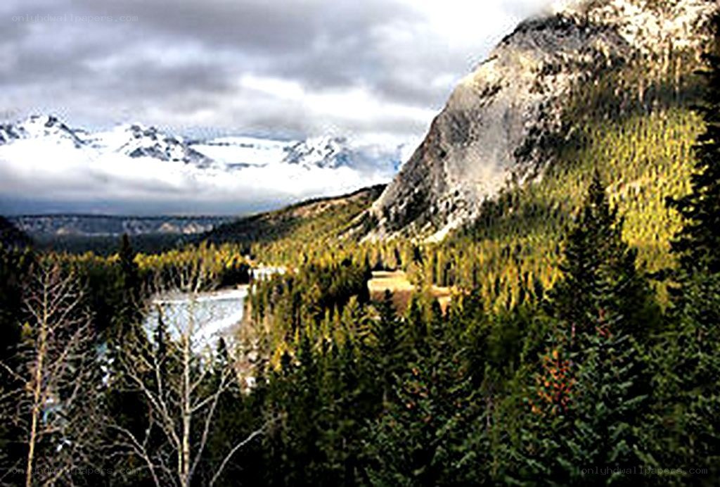 mountain valley with forest and river