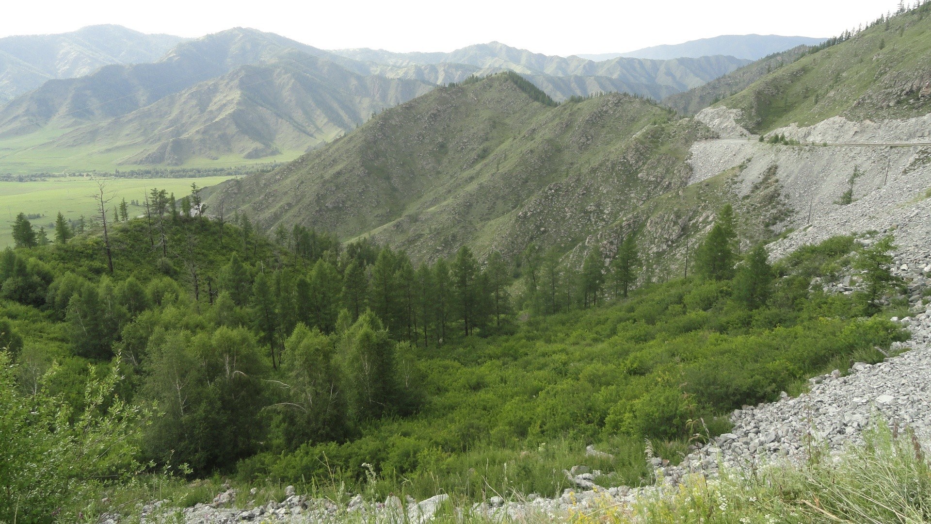 Mountain valley with forest and road