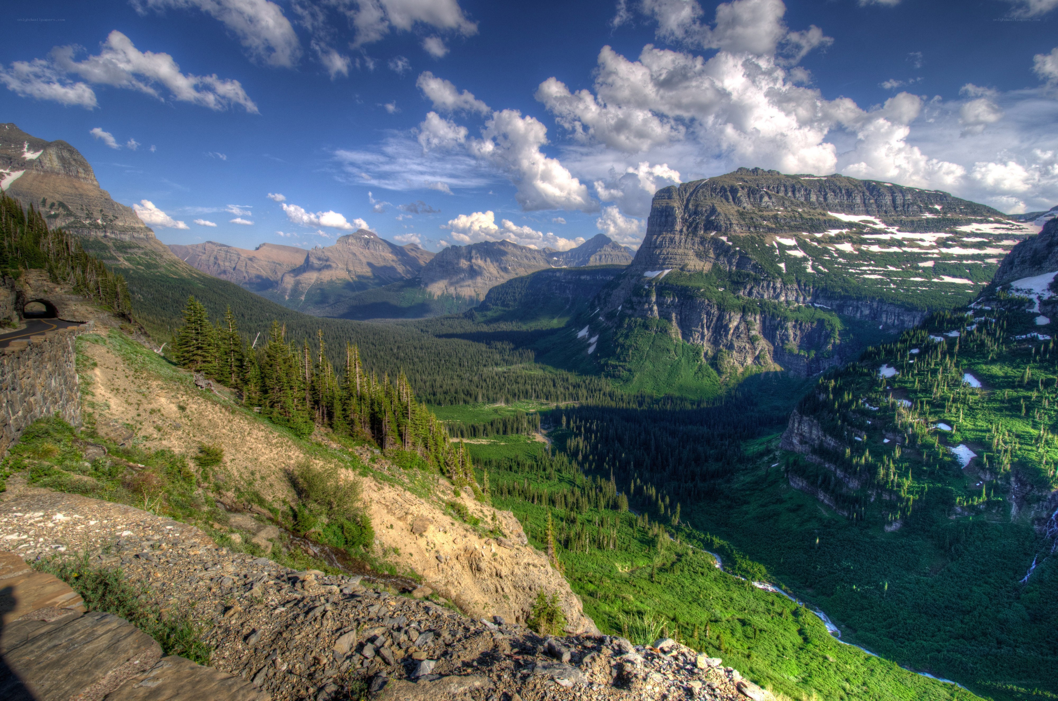 Mountain valley with forest and snow