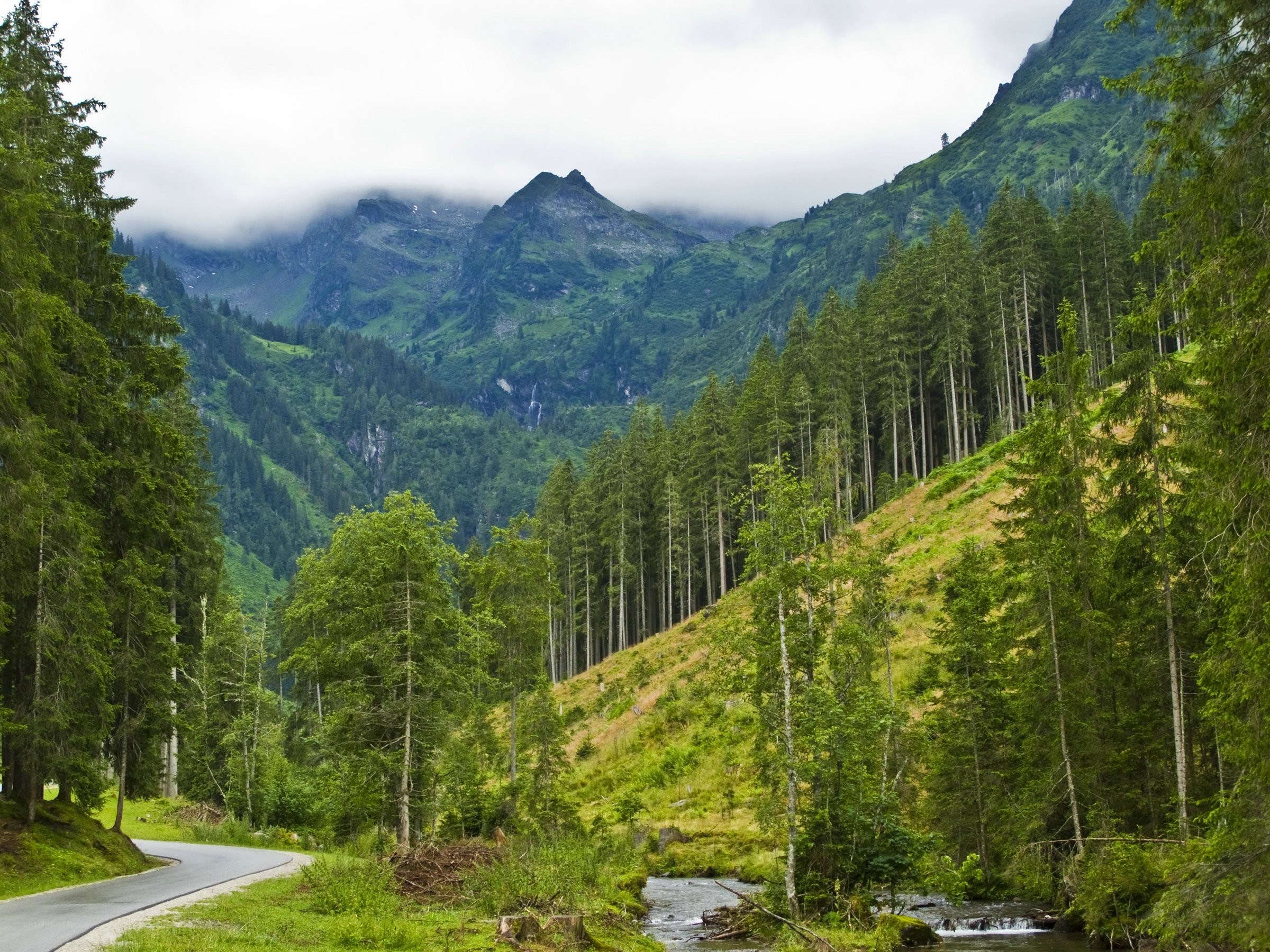 Mountain valley with forest and stream