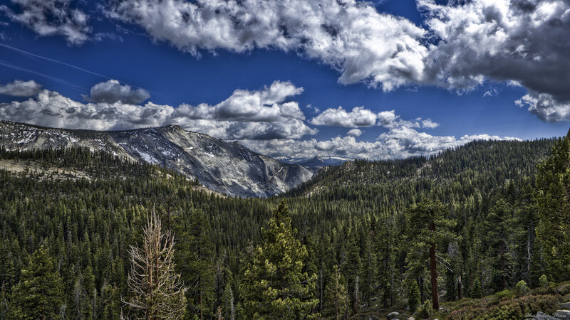 Mountain Valley with Forest — Green, Dramatic