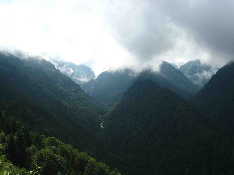 Mountain Valley with Forest — Green