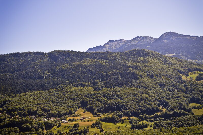 Mountain valley with forested hills