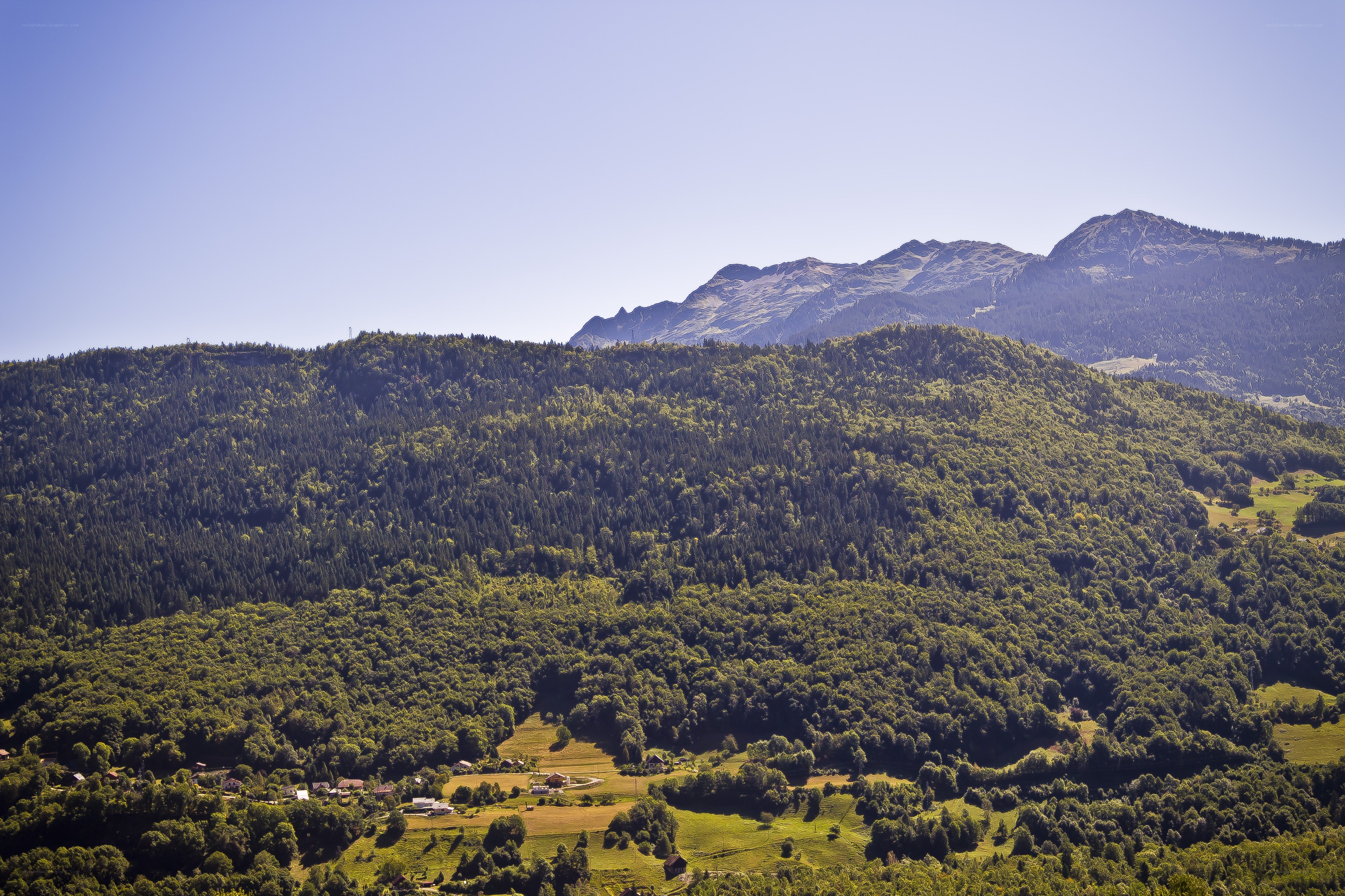 Mountain valley with forested hills