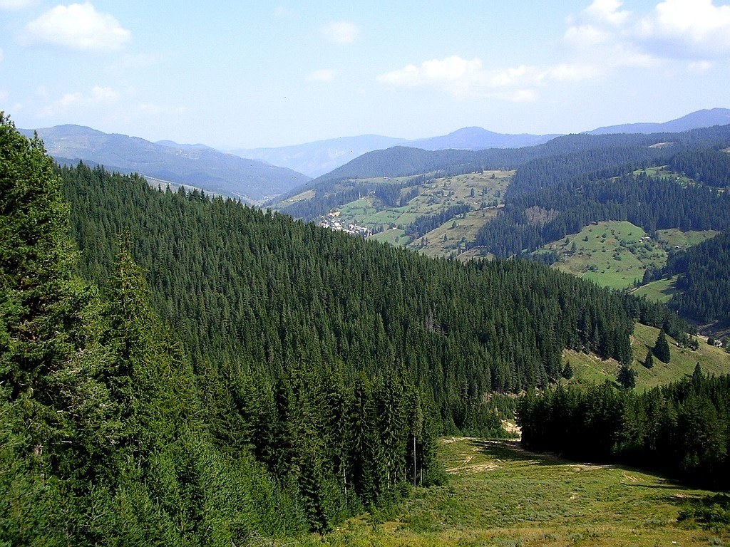 Mountain valley with forested hills