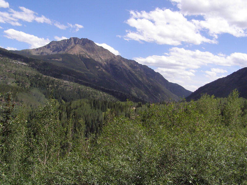 Mountain valley with forested slopes