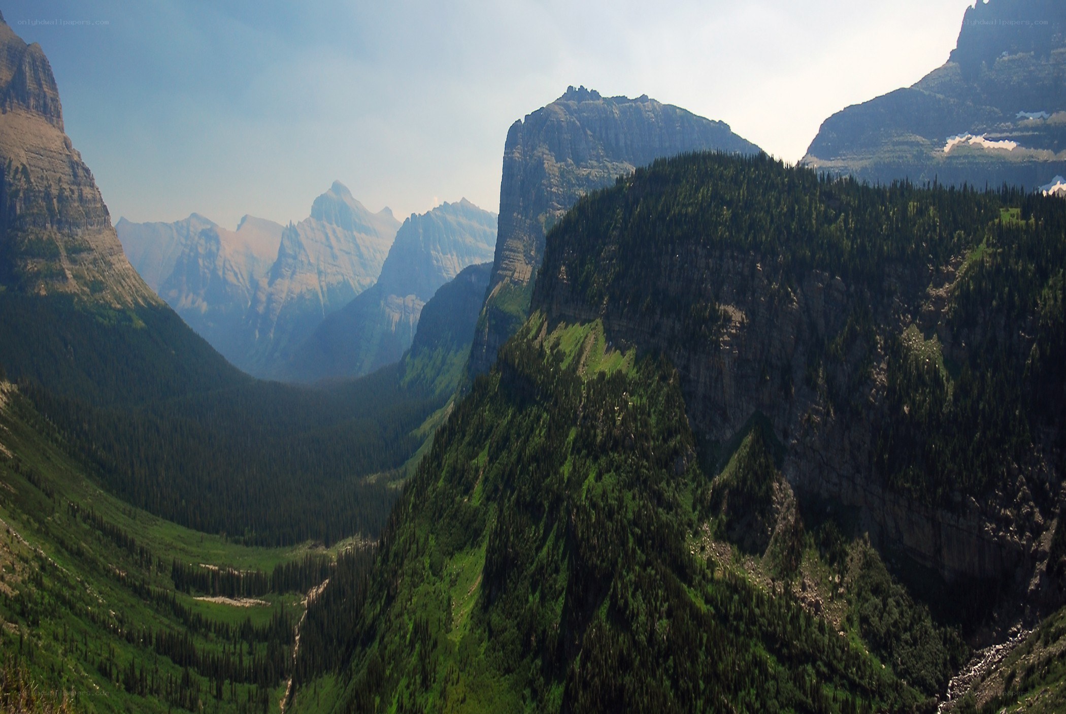 Mountain valley with forested slopes