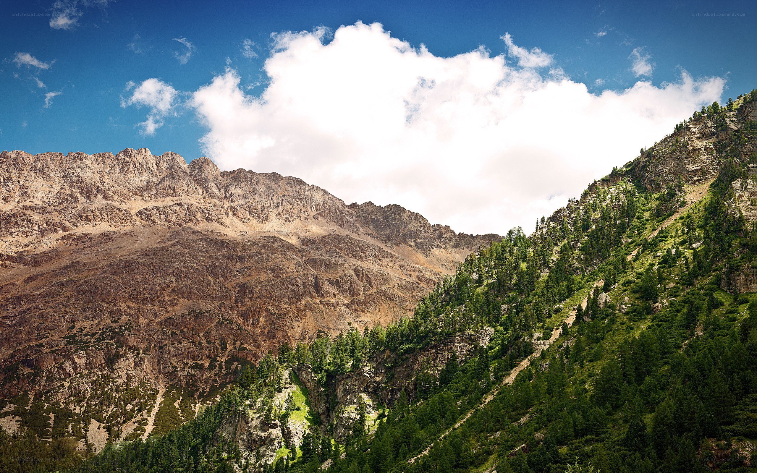 Mountain valley with forested slopes