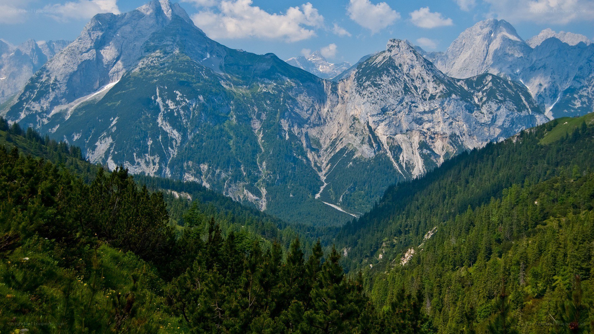 Mountain valley with forested slopes