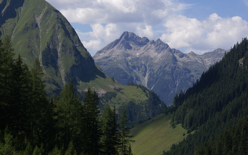 Mountain valley with forested slopes