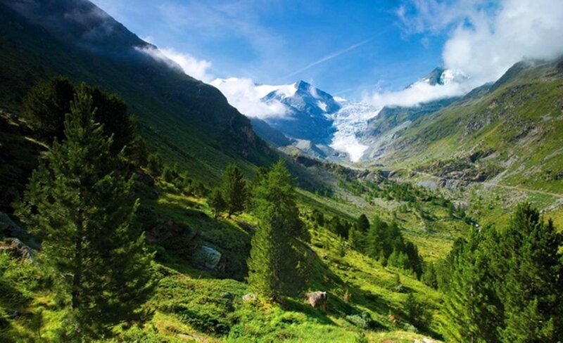 Mountain Valley with Glacier — Green