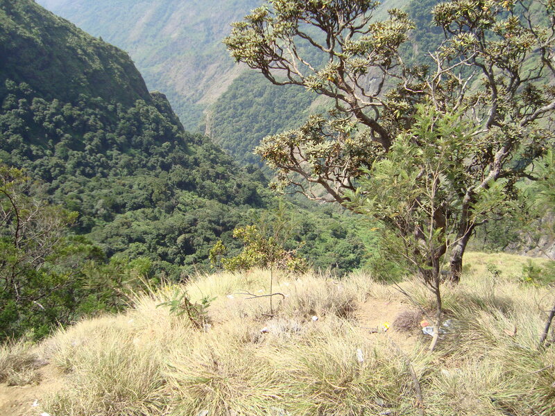 Mountain valley with grassy foreground