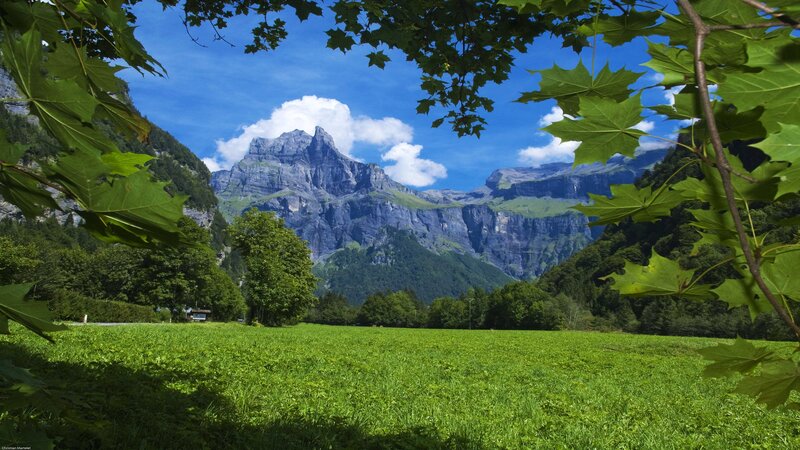 Mountain valley with green field