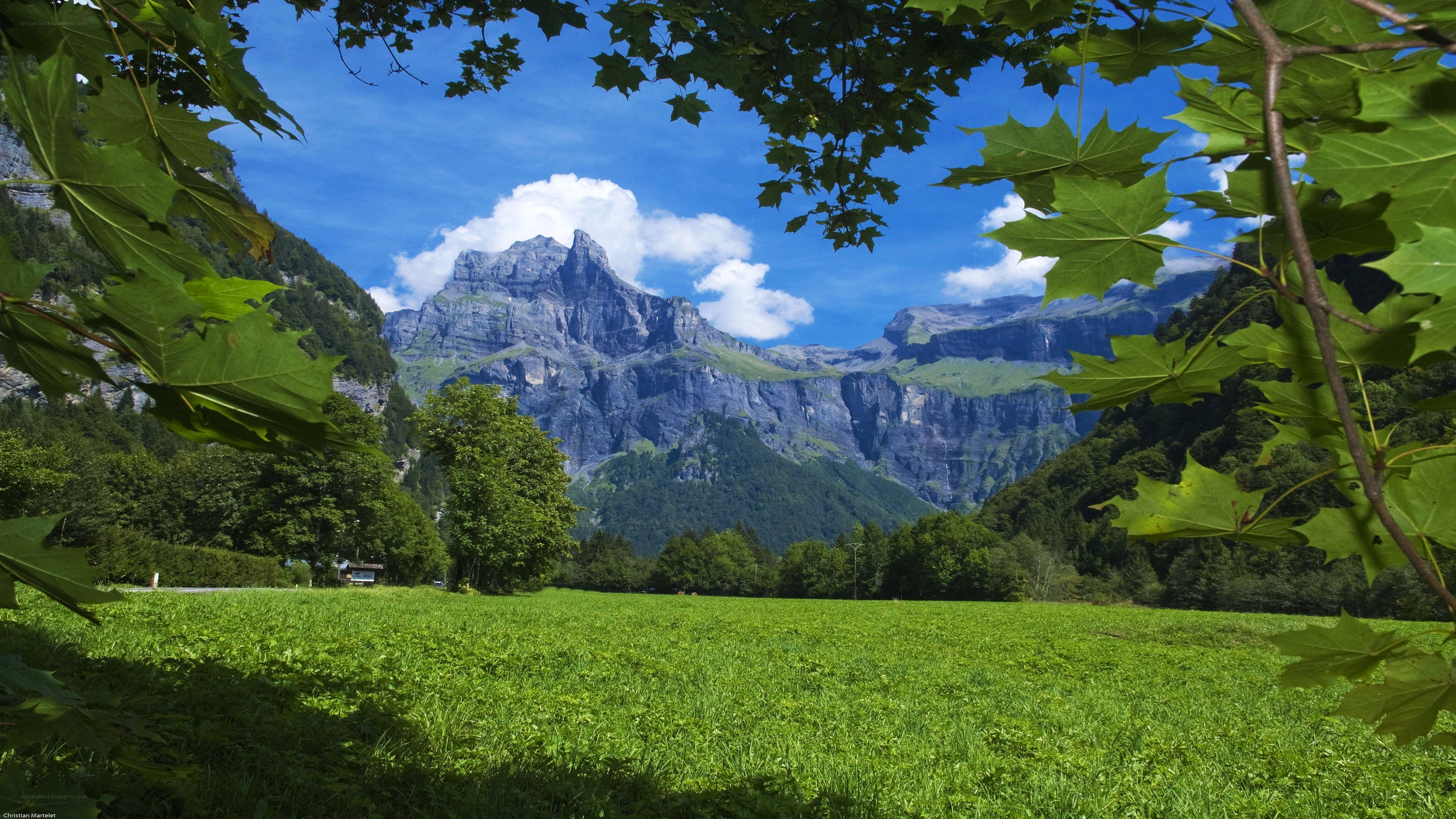 Mountain valley with green field