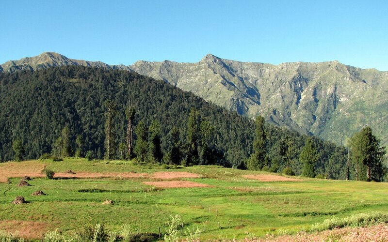 Mountain valley with green fields
