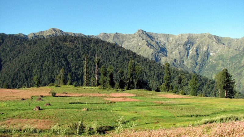 Mountain valley with green fields