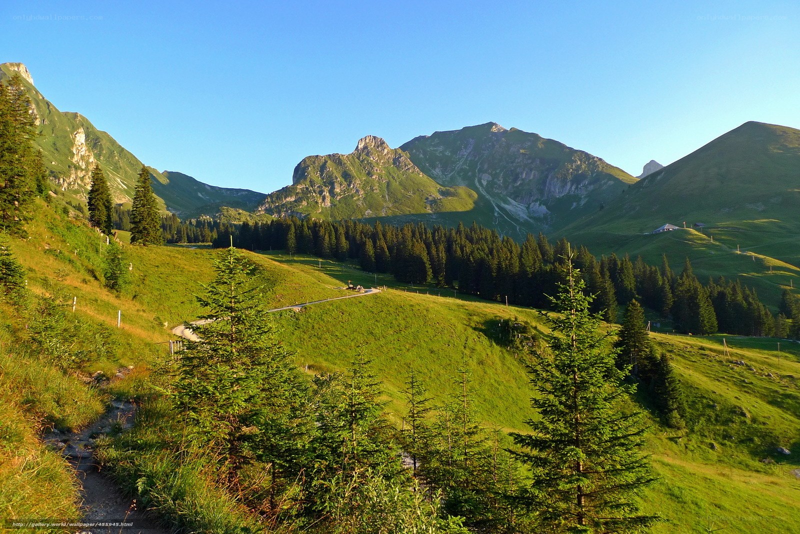 Mountain valley with green hills