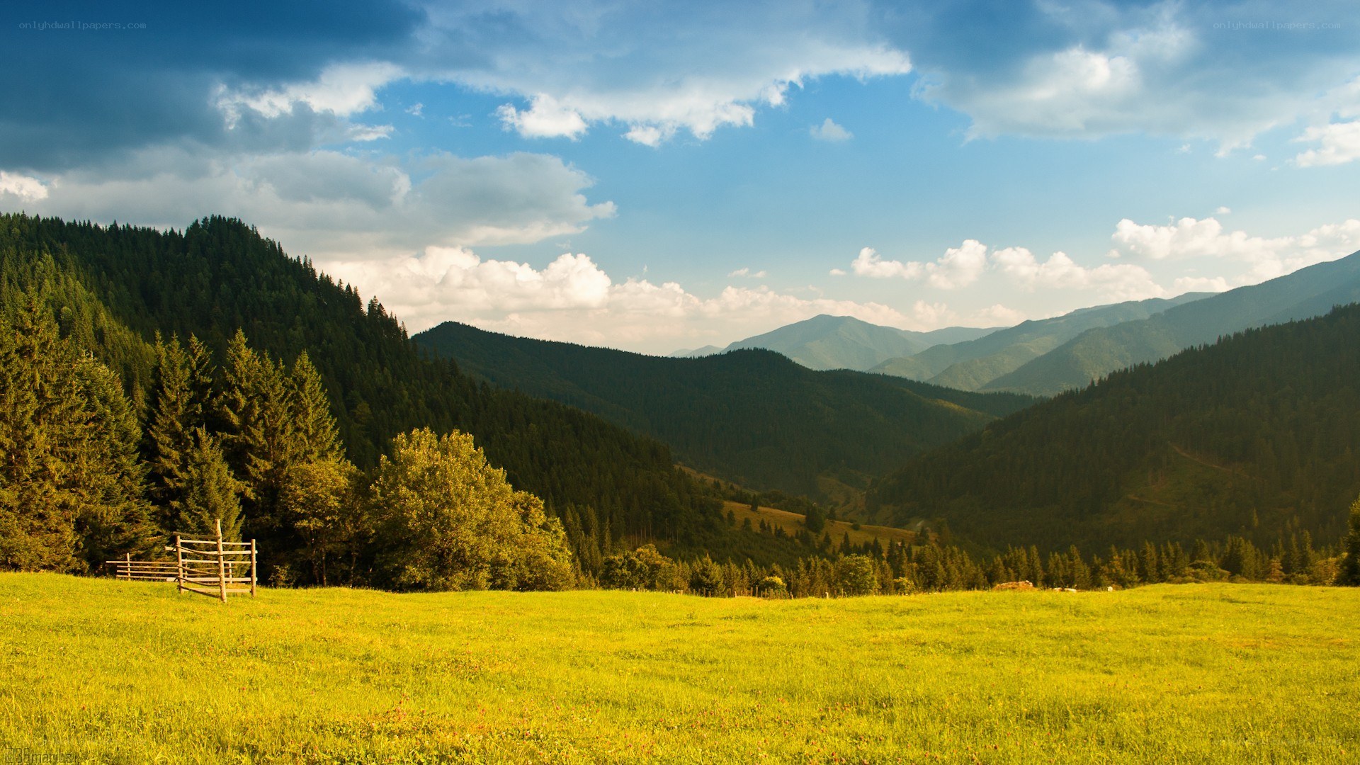 Mountain valley with green meadow