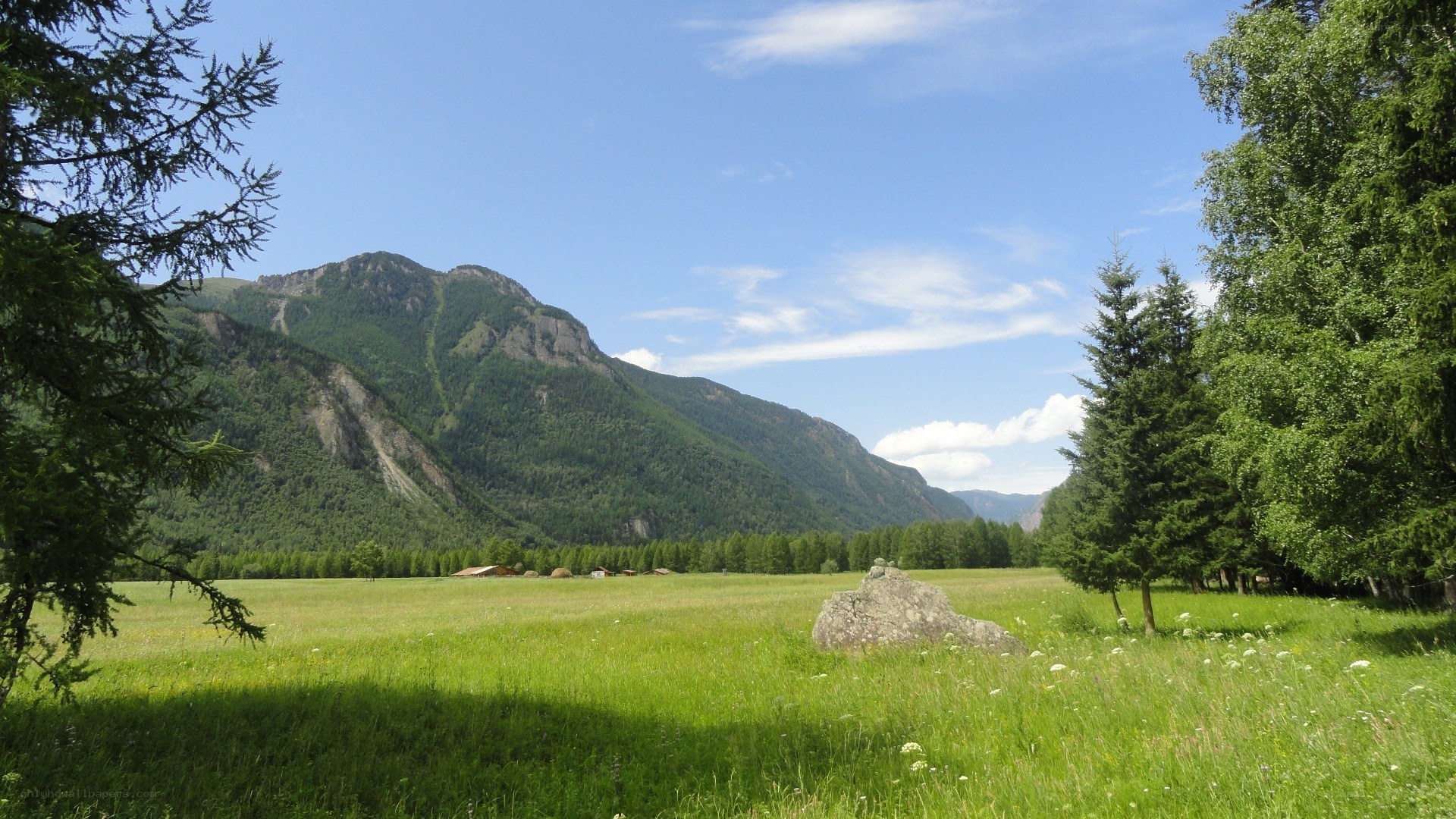 Mountain valley with green meadow