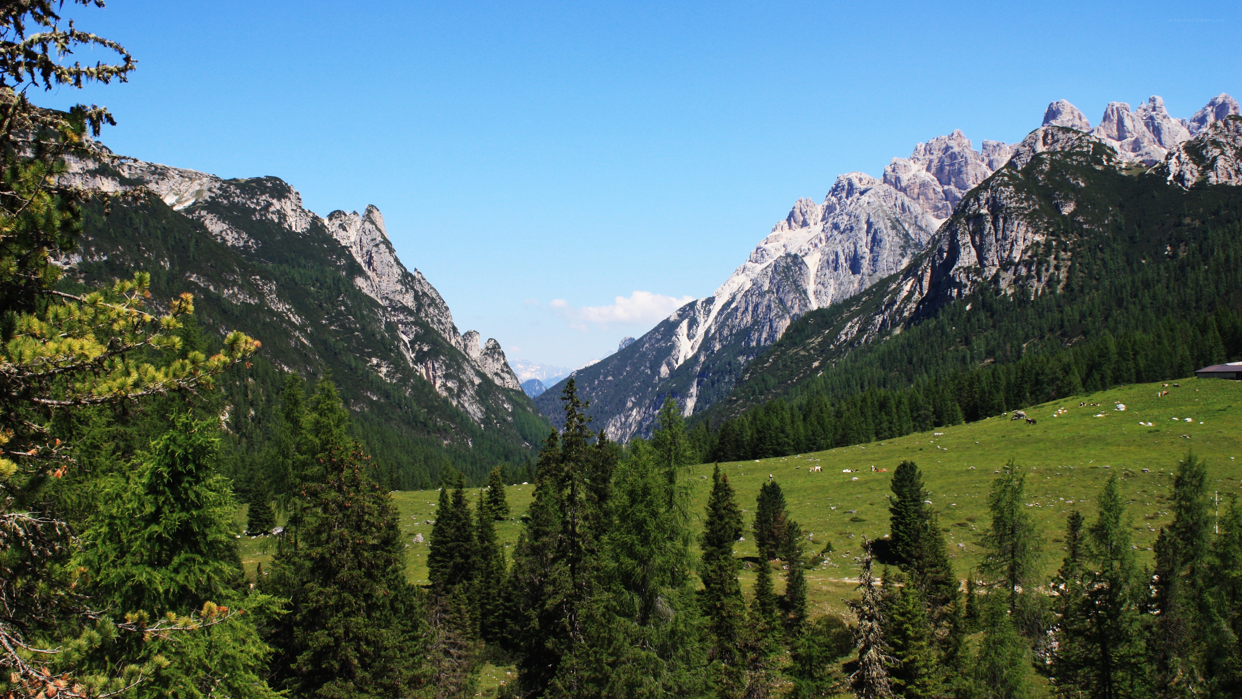 Mountain valley with green meadow