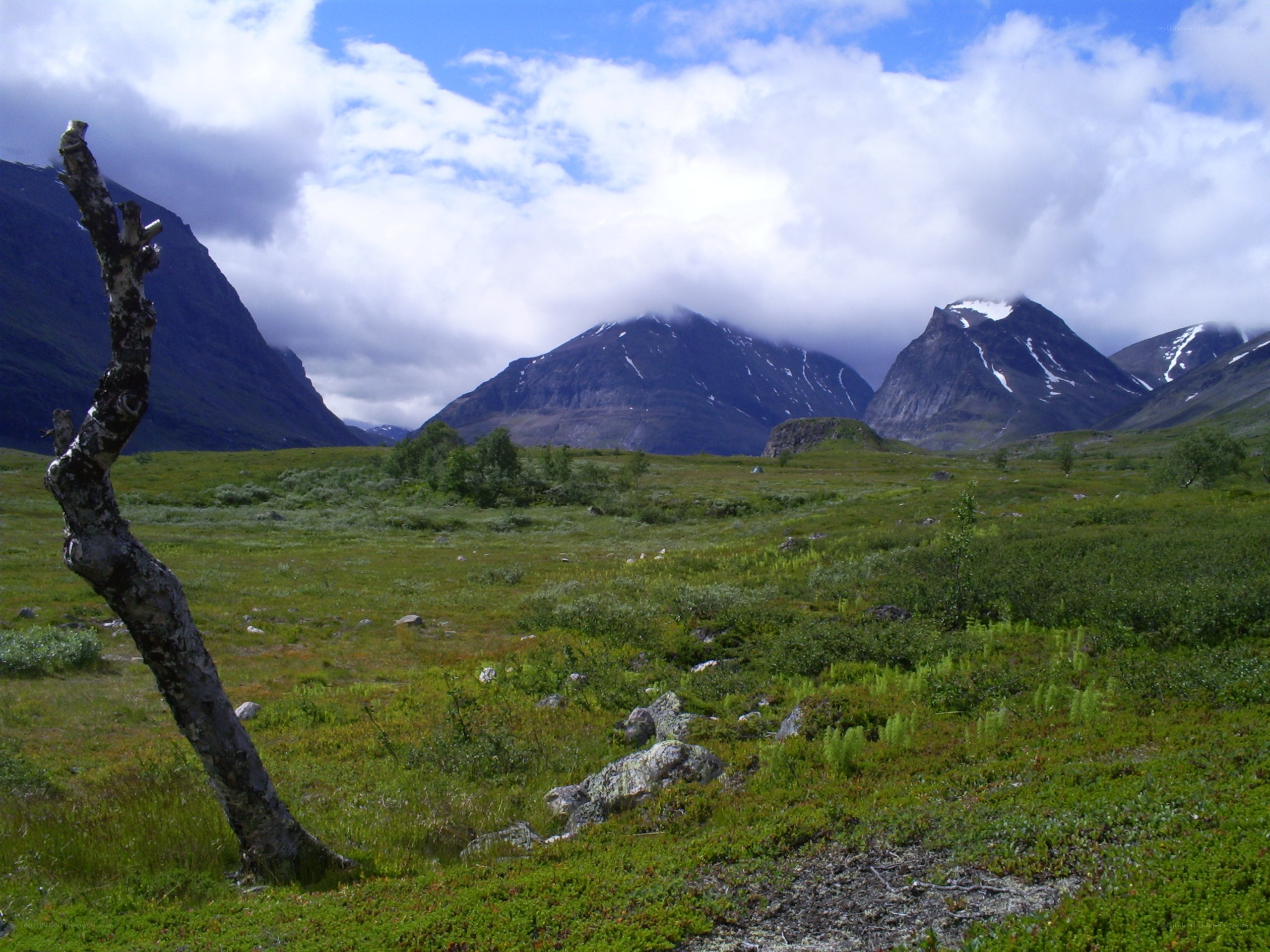 Mountain valley with green meadow
