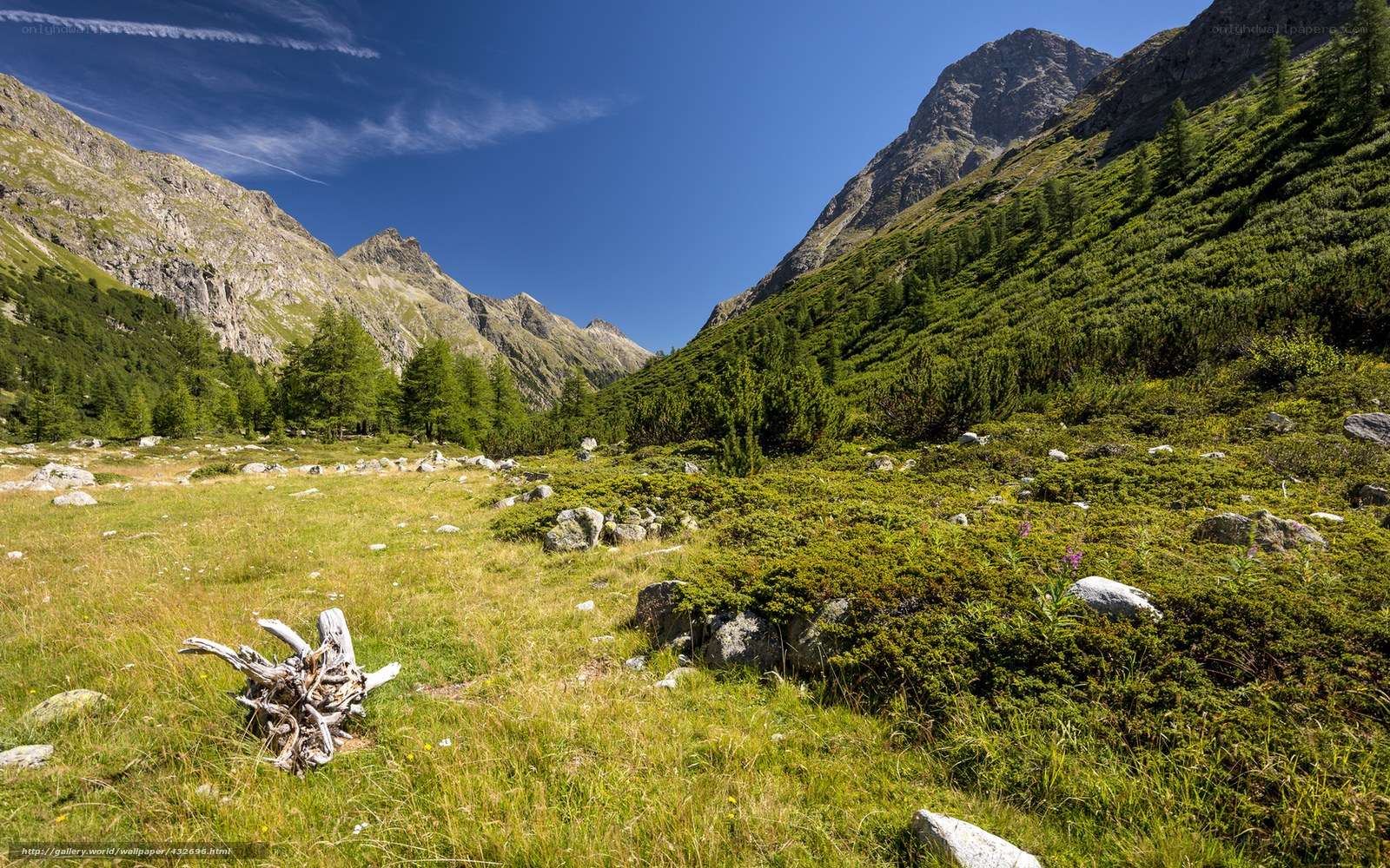 Mountain valley with green meadow