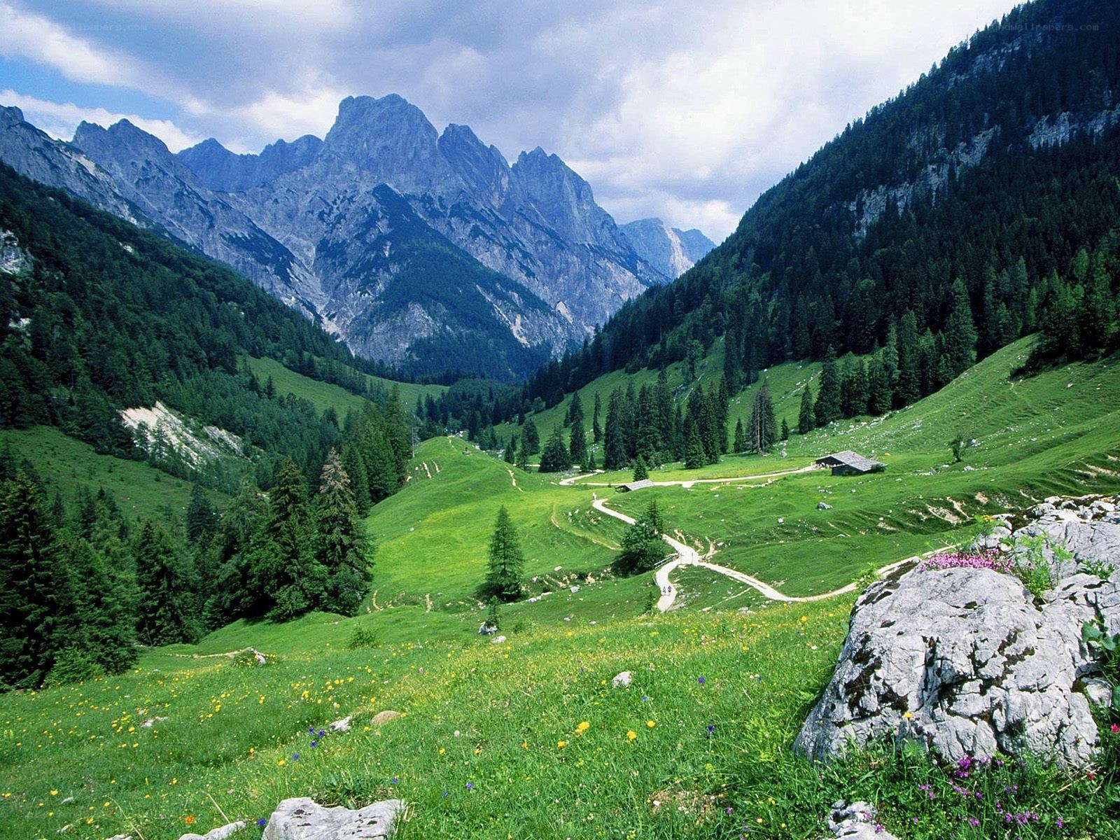 Mountain valley with green meadows