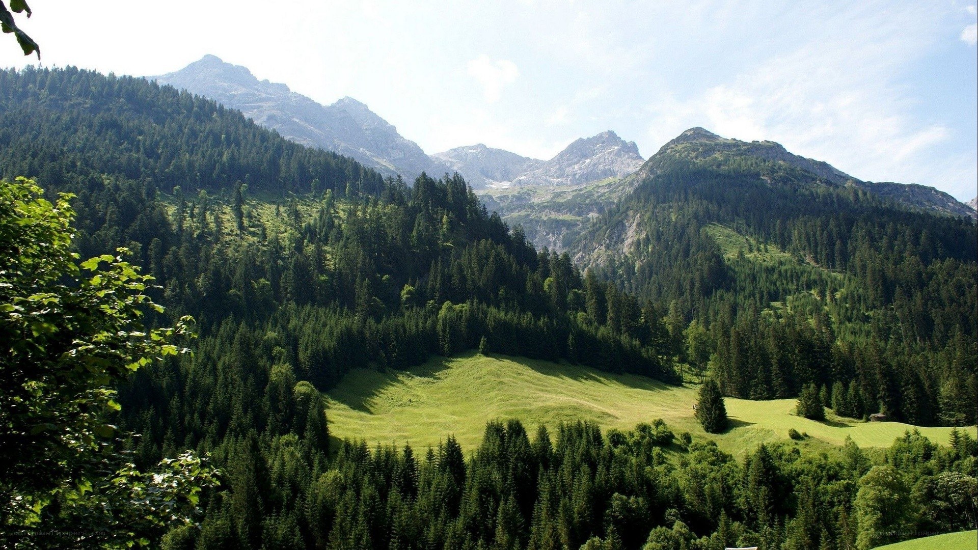 Mountain valley with green meadows