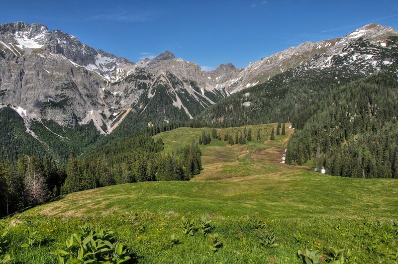 Mountain valley with green meadows