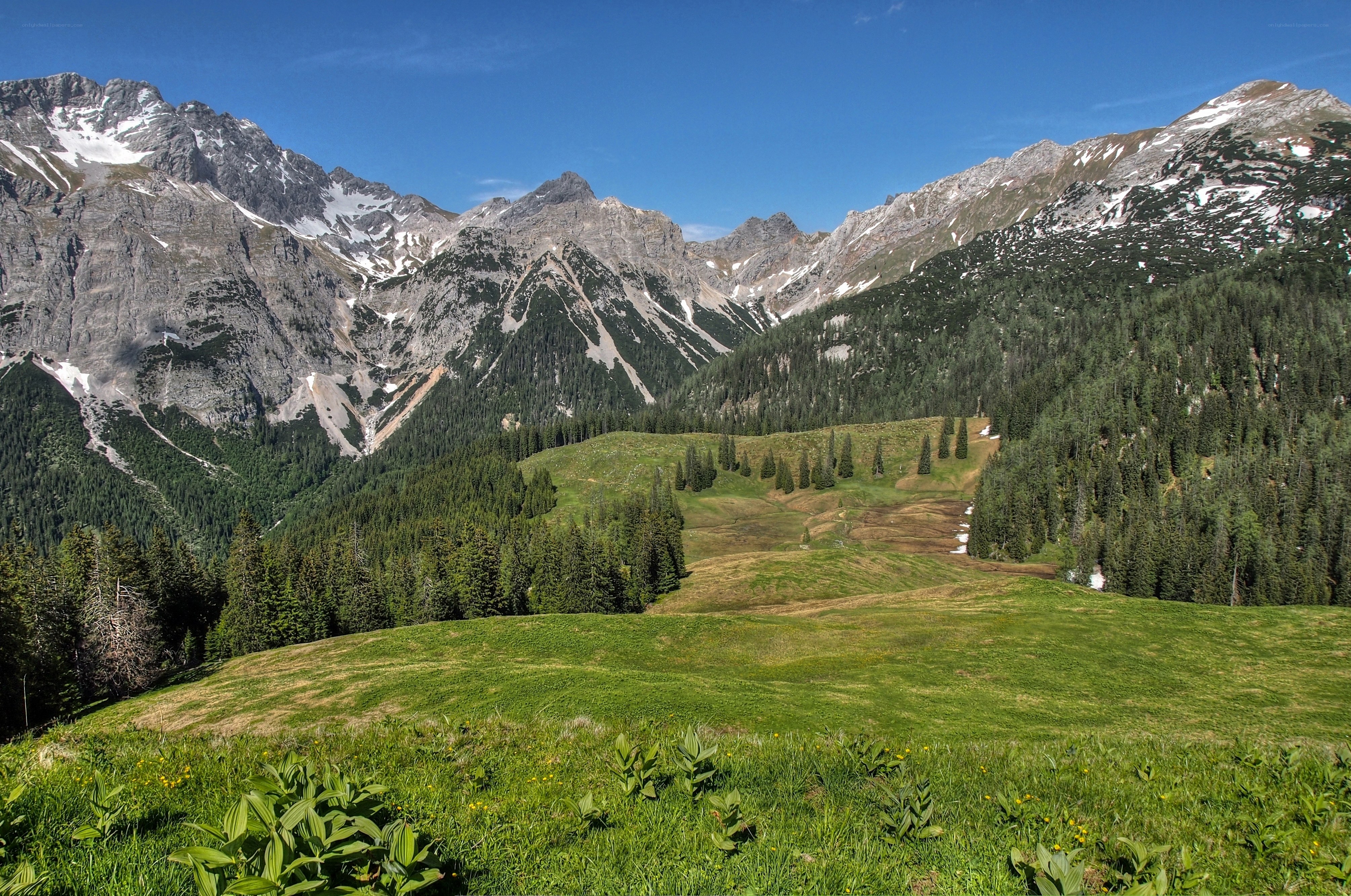 Mountain valley with green meadows