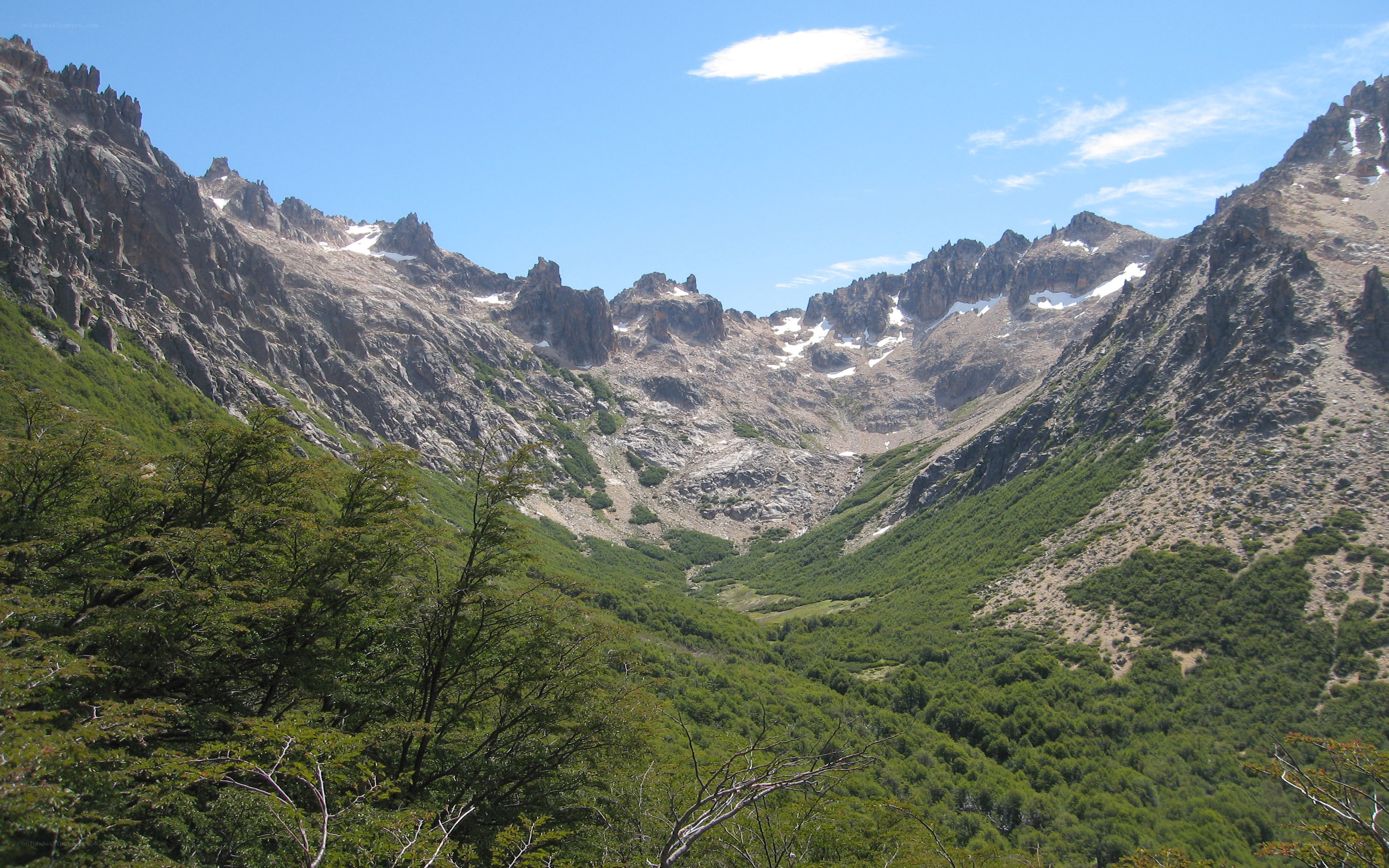 Mountain valley with green trees