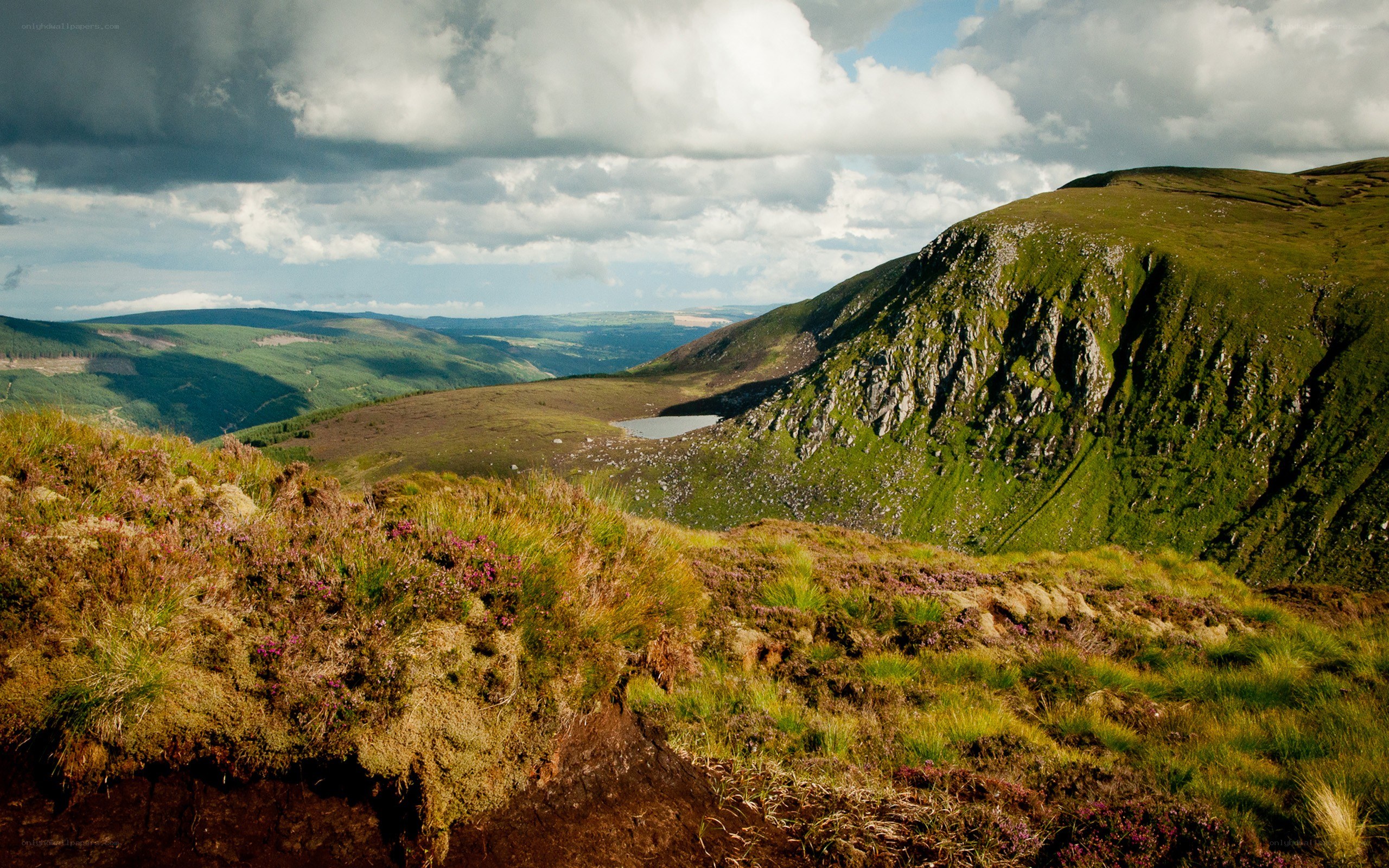 Mountain valley with lake