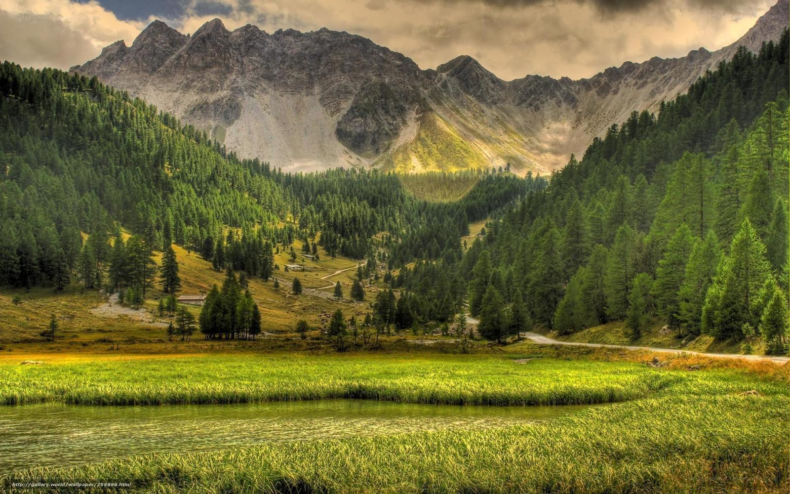 Mountain valley with lake and forest