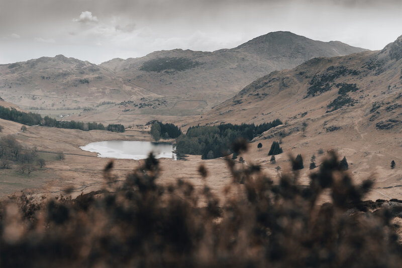 Mountain Valley with Lake — Brown