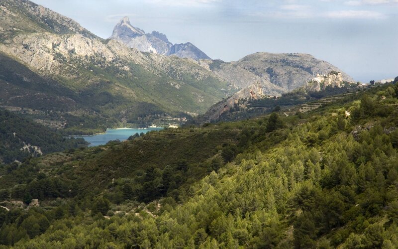 Mountain Valley with Lake — Green, Serene, Afternoon, Photograph, Forest
